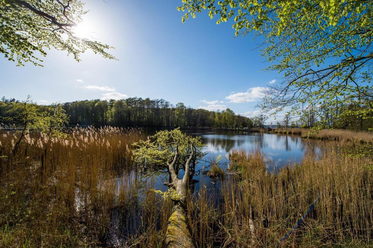 Ferienwohnung Pape Glucksburg Bagian luar foto